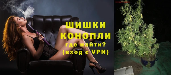 МДПВ Гусиноозёрск