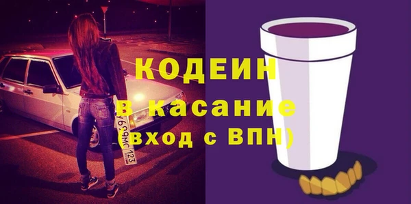 ПСИЛОЦИБИНОВЫЕ ГРИБЫ Дмитриев