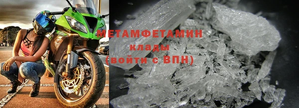 ПСИЛОЦИБИНОВЫЕ ГРИБЫ Дмитриев