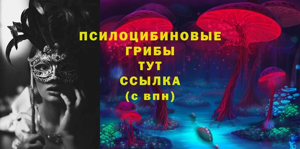 PSILOCYBIN Дмитров
